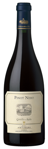 Pinot Nero Umbria IGT 